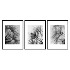 VELIKI SET UOKVIRA ZA SLIKE U MINIMALISTIČKOM STILU