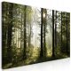 OBRAZ XXXL DIY PRIRODA 160x80 cB-0254-ak-e