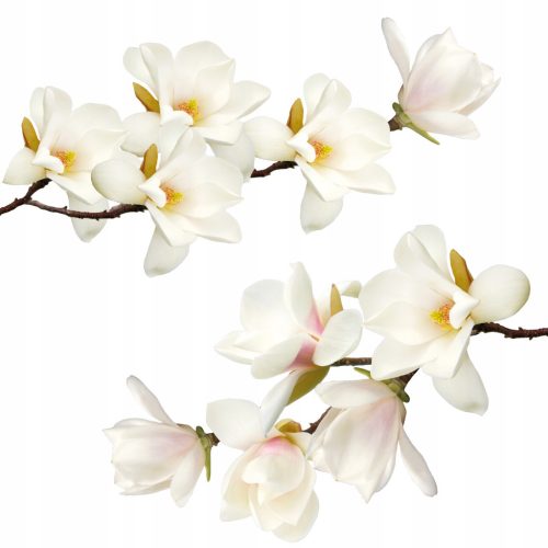 Zidne naljepnice Magnolije u bijeloj boji 100 x 50 cm