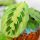 Trobojna Maranta 'Fascinator Tricolor' u posudi od 0,5l