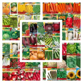 SJEMENSKA KOLEKCIJA POVRĆA